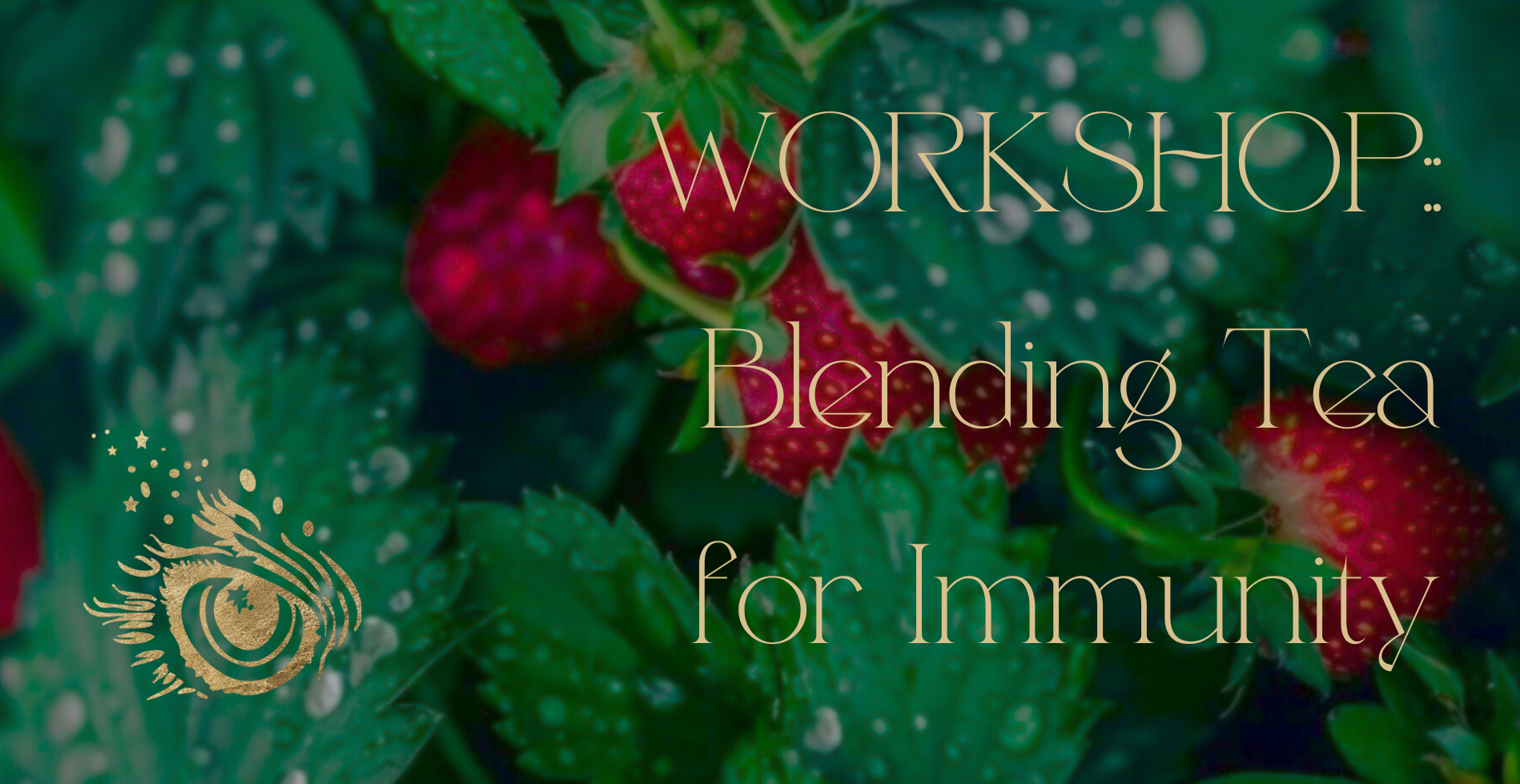 Workshop: Tea Blending for Immunity